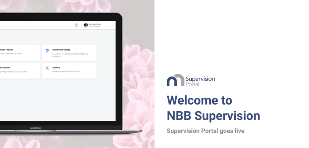 NBB Supervision