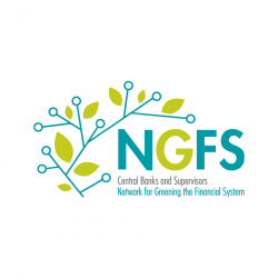 NGFS Logo